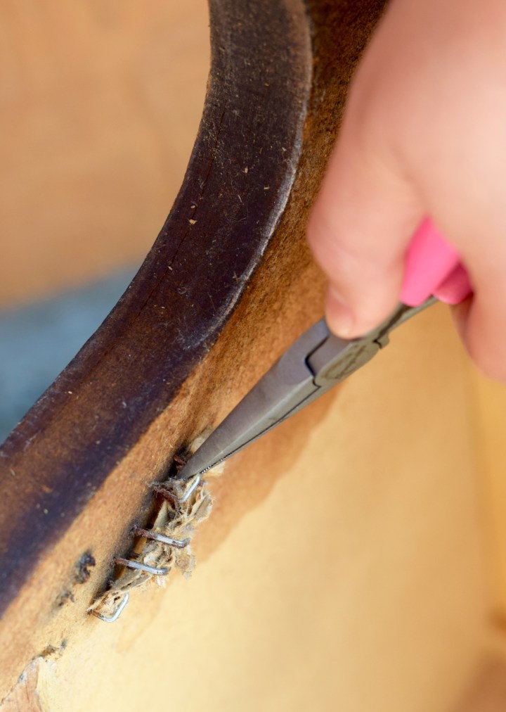 Needle Nose Pliers Staples