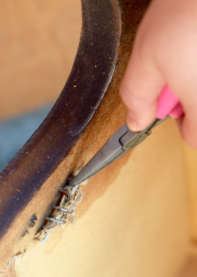 Needle Nose Pliers Staples