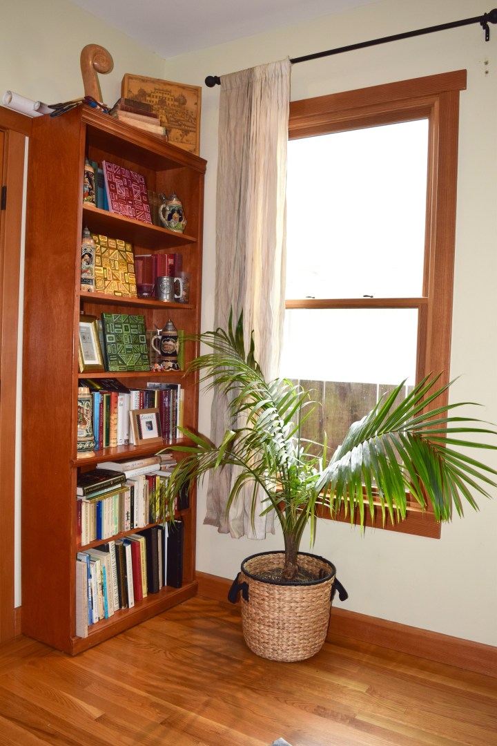 Very Full Bookshelf | Land of Laurel