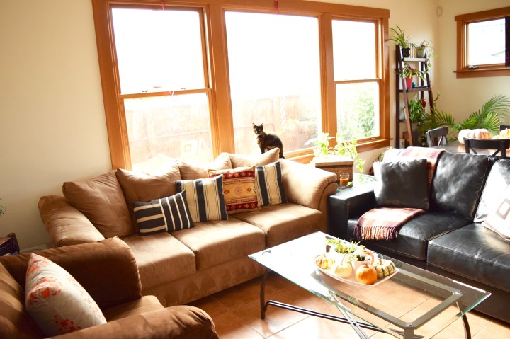 Living Room Pillows | Land of Laurel