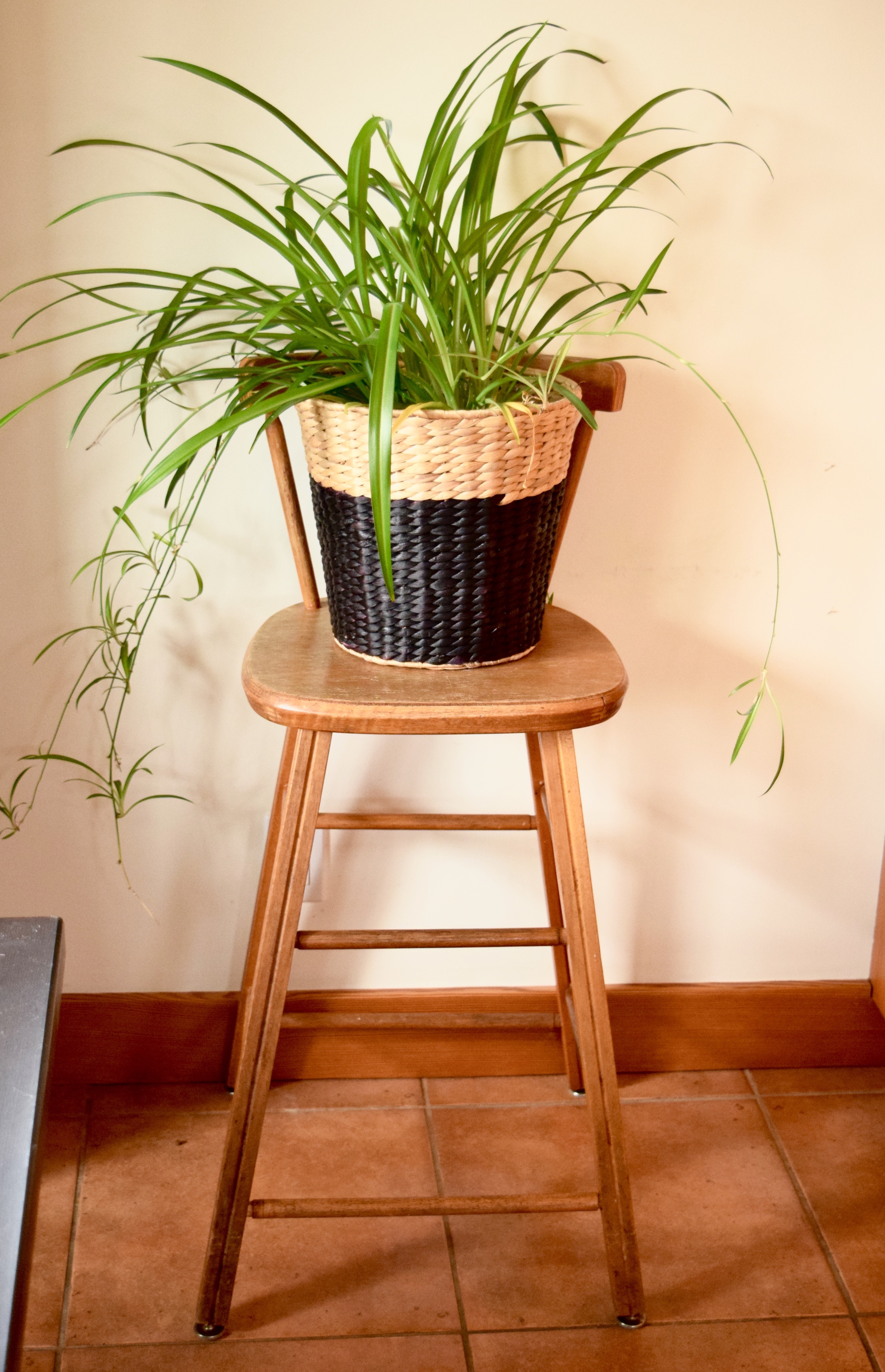 Kitchen Chair | Land of Laurel