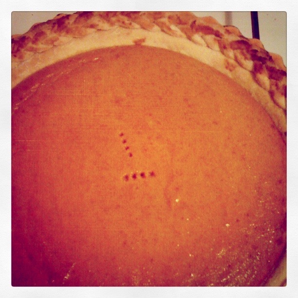 Pie with Braided Crust | Land of Laurel