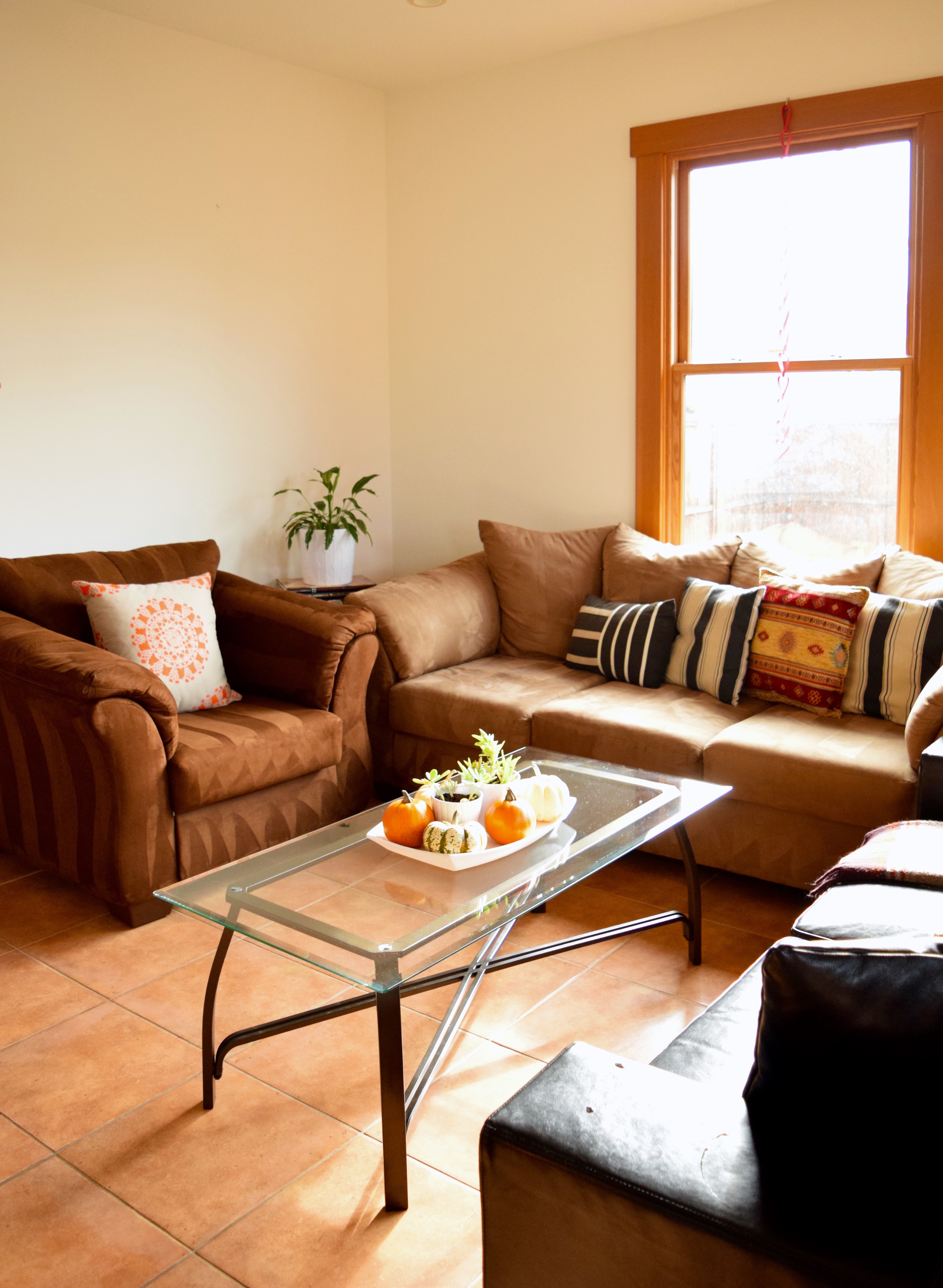 Glass Coffee Table | Land of Laurel