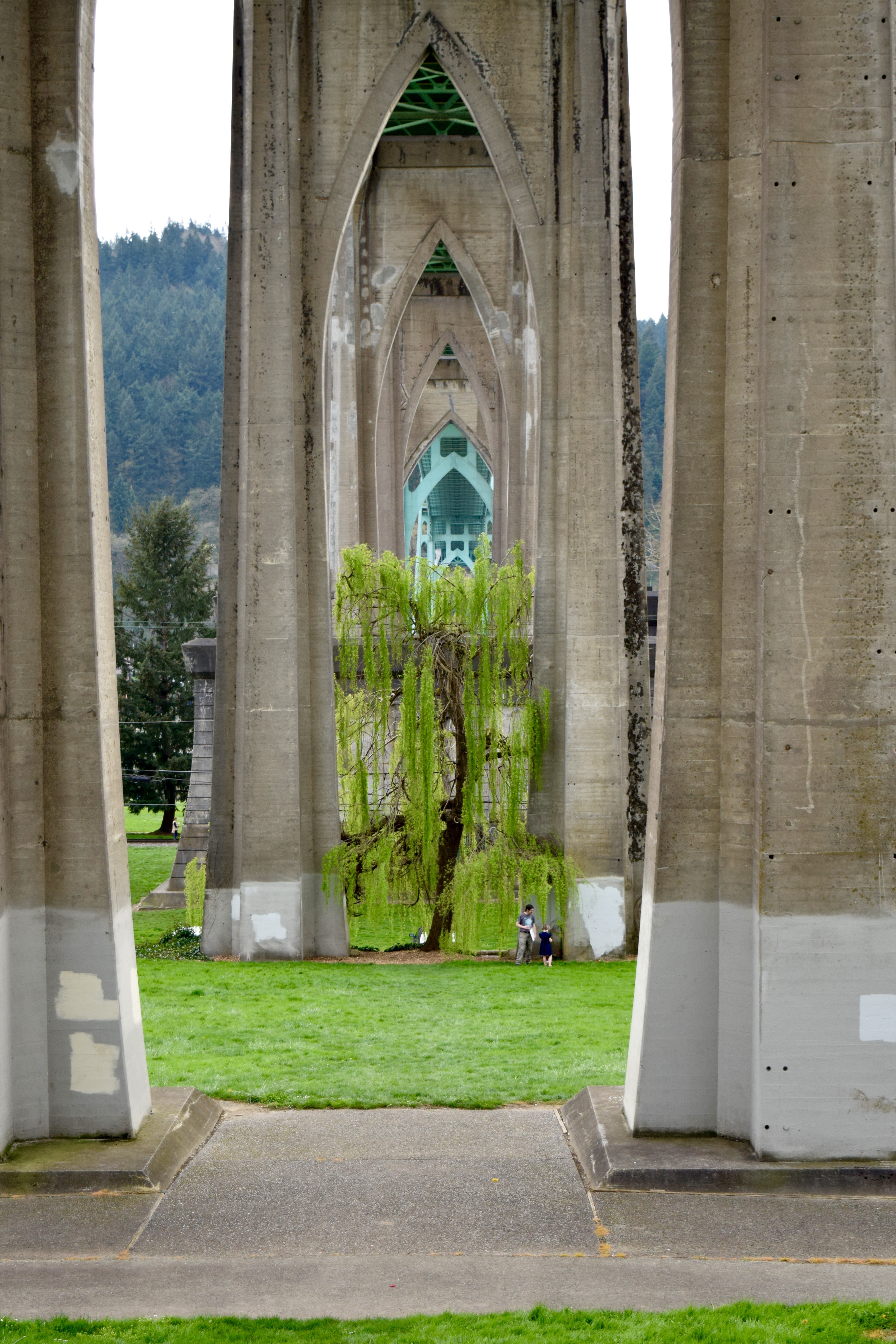 Beneath St. John's Bridge | Land of Laurel