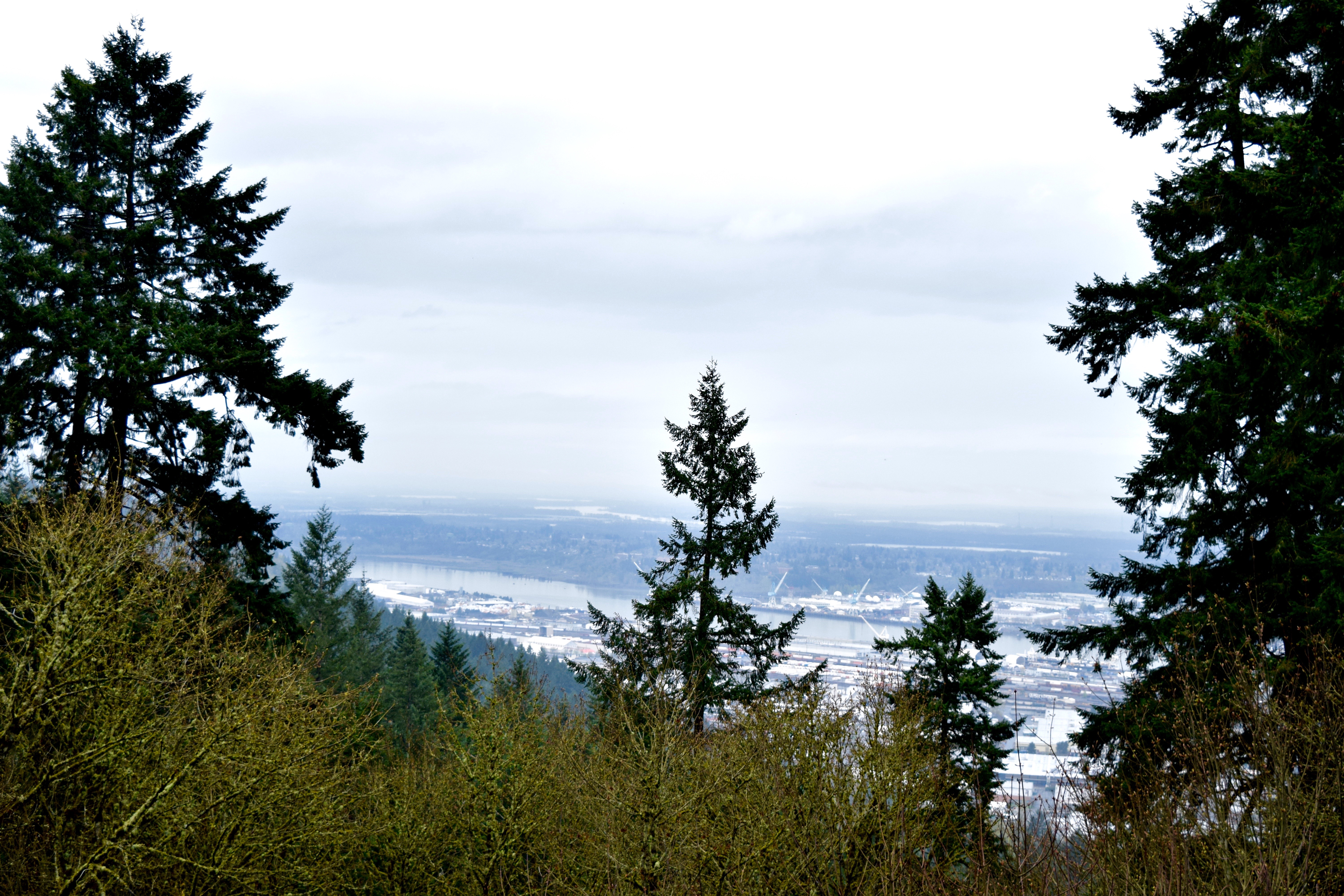 View from Pittock Mansion 2 | Land of Laurel