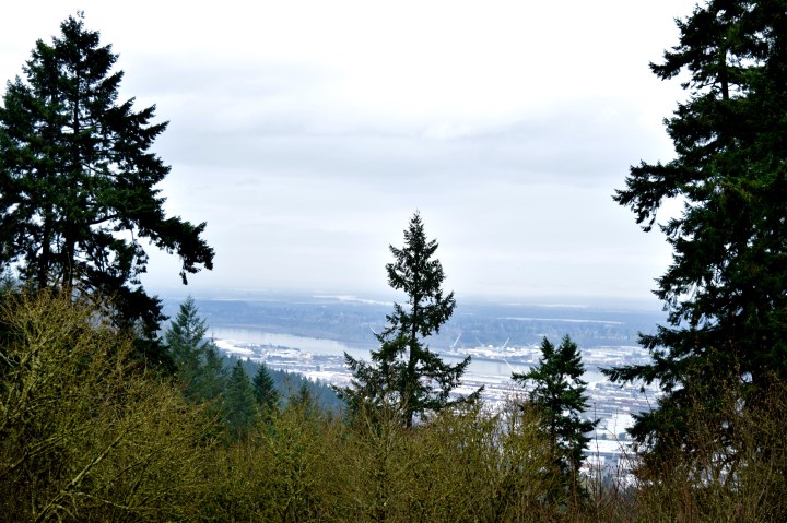 View from Pittock Mansion 2 | Land of Laurel