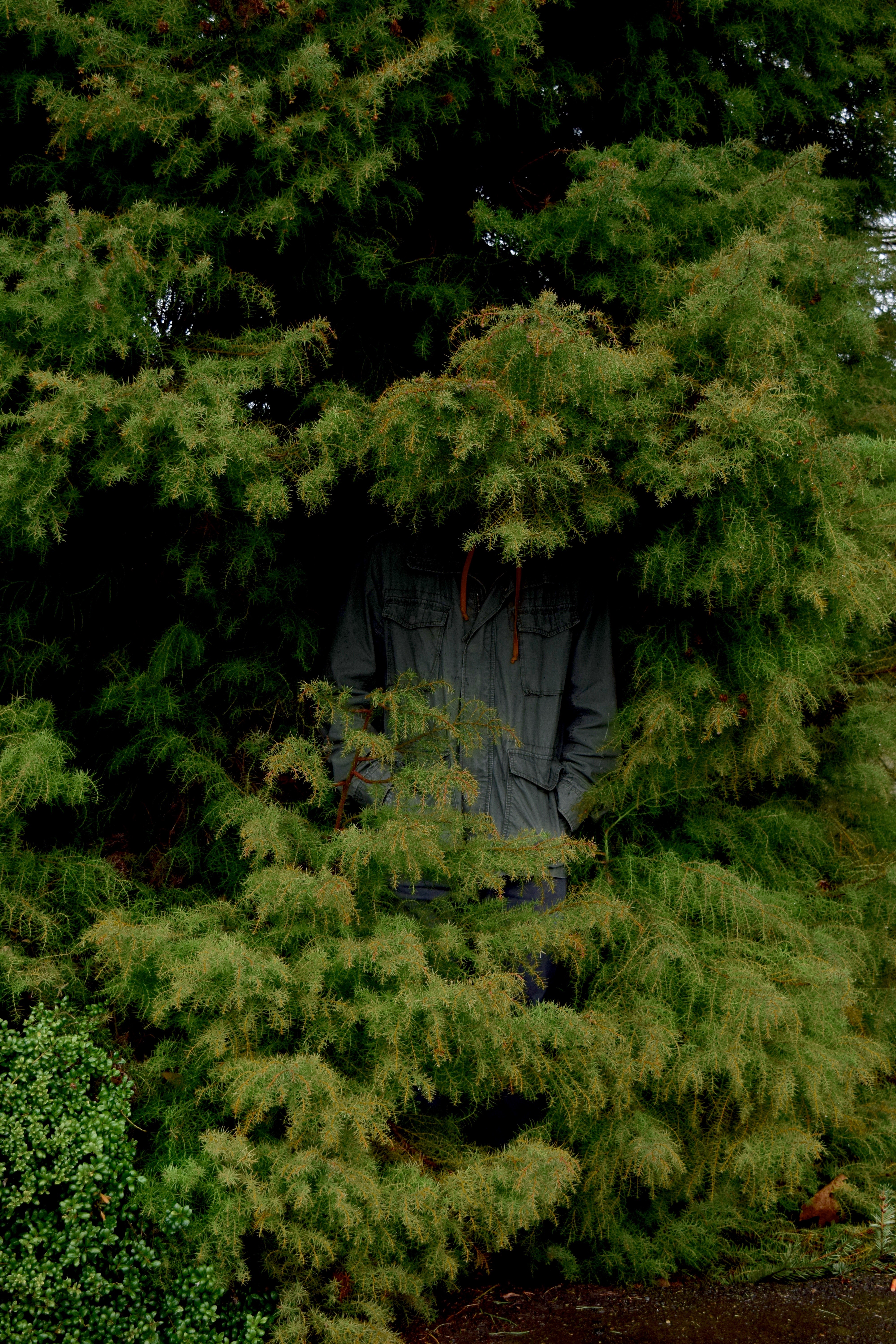 Scott Scary | Land of Laurel