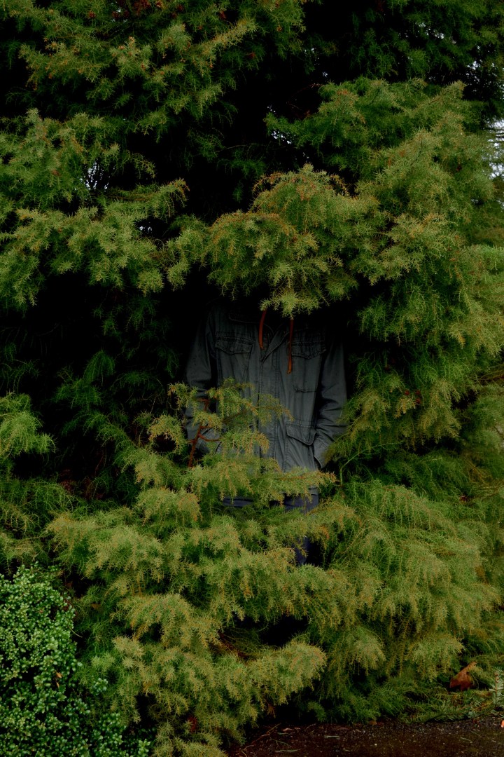 Scott Scary | Land of Laurel