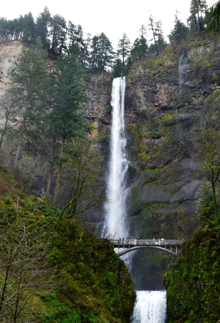 Multnomah Falls | Land of Laurel