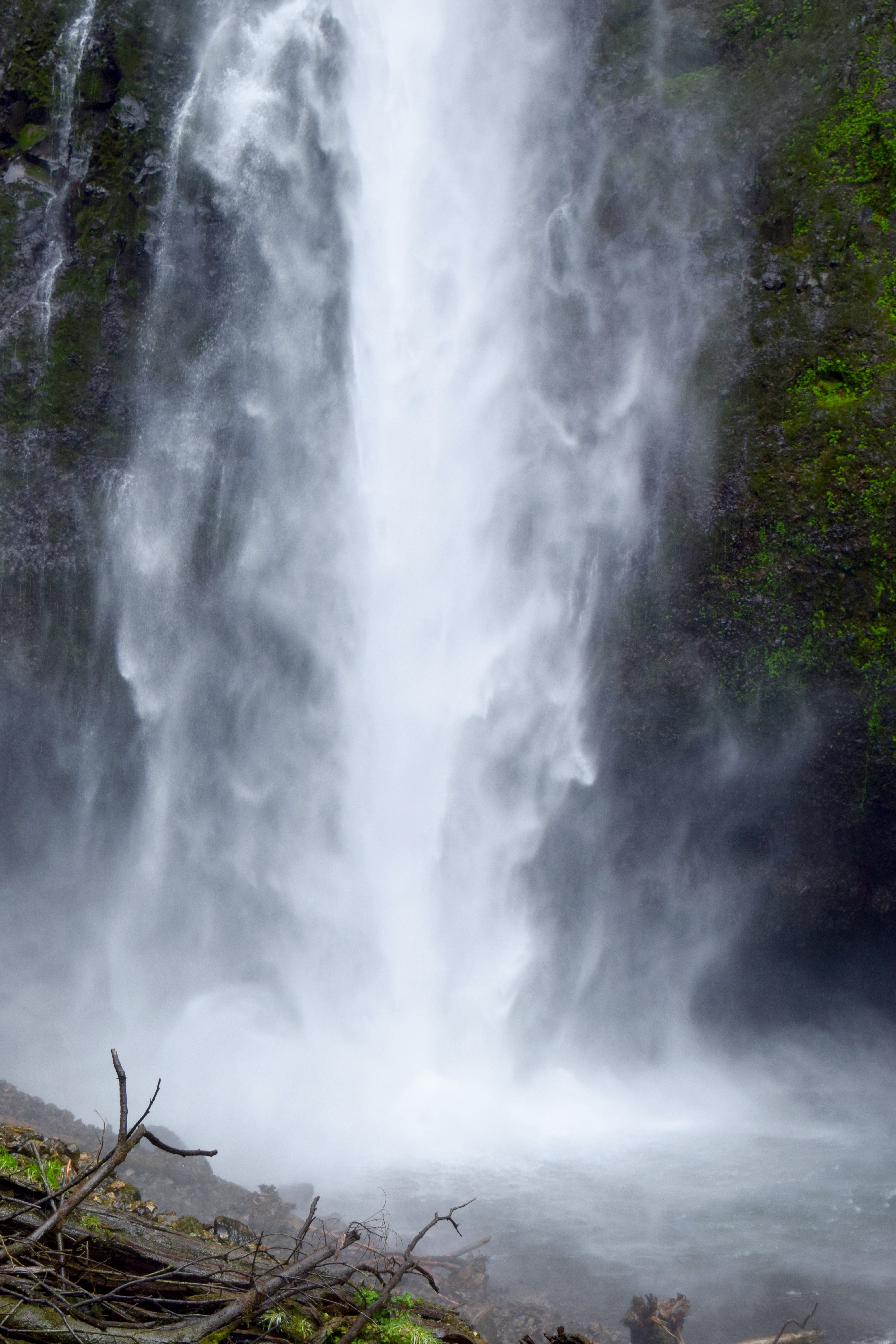 Multnomah Falls 4 | Land of Laurel