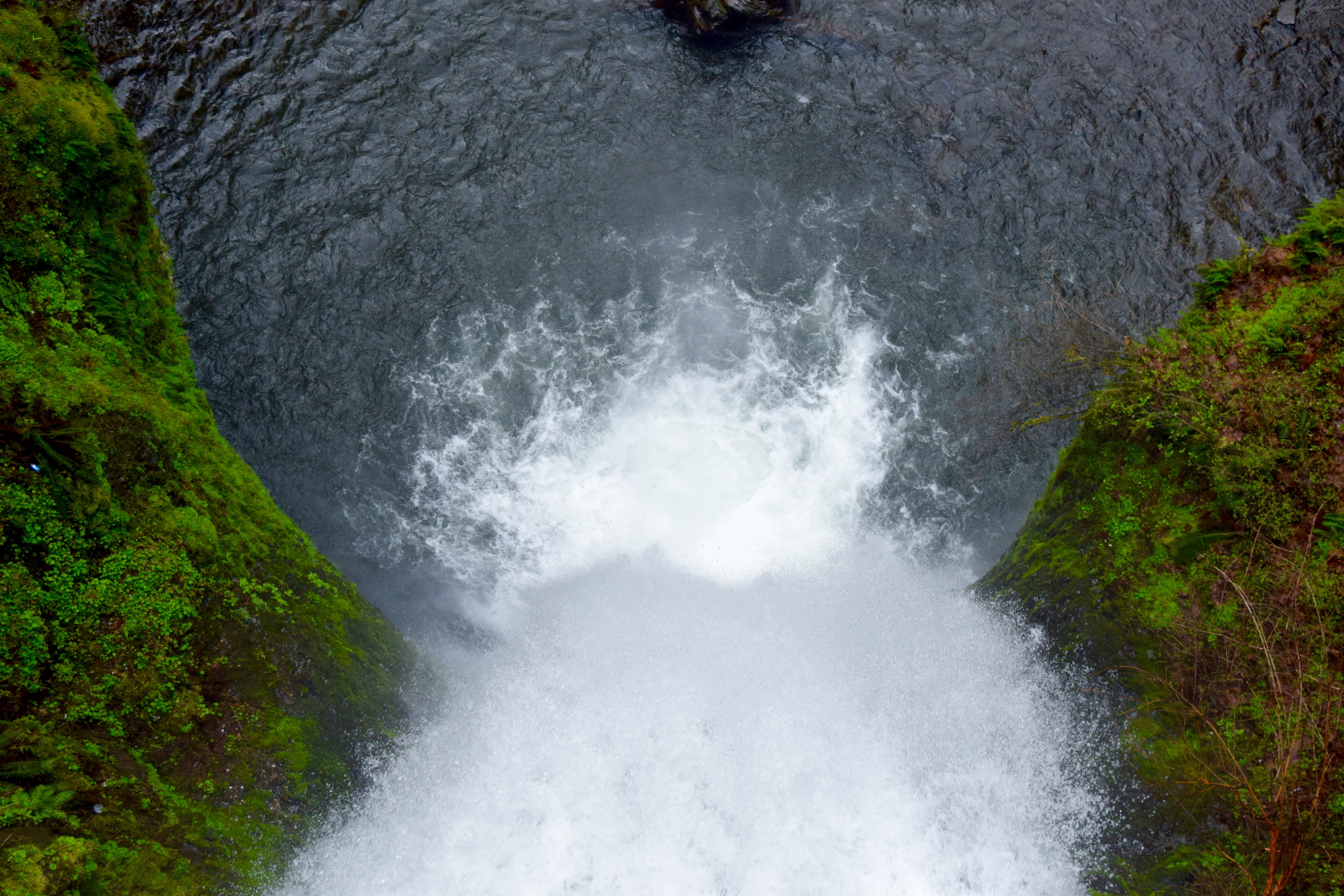 Multnomah Falls 4 | Land of Laurel