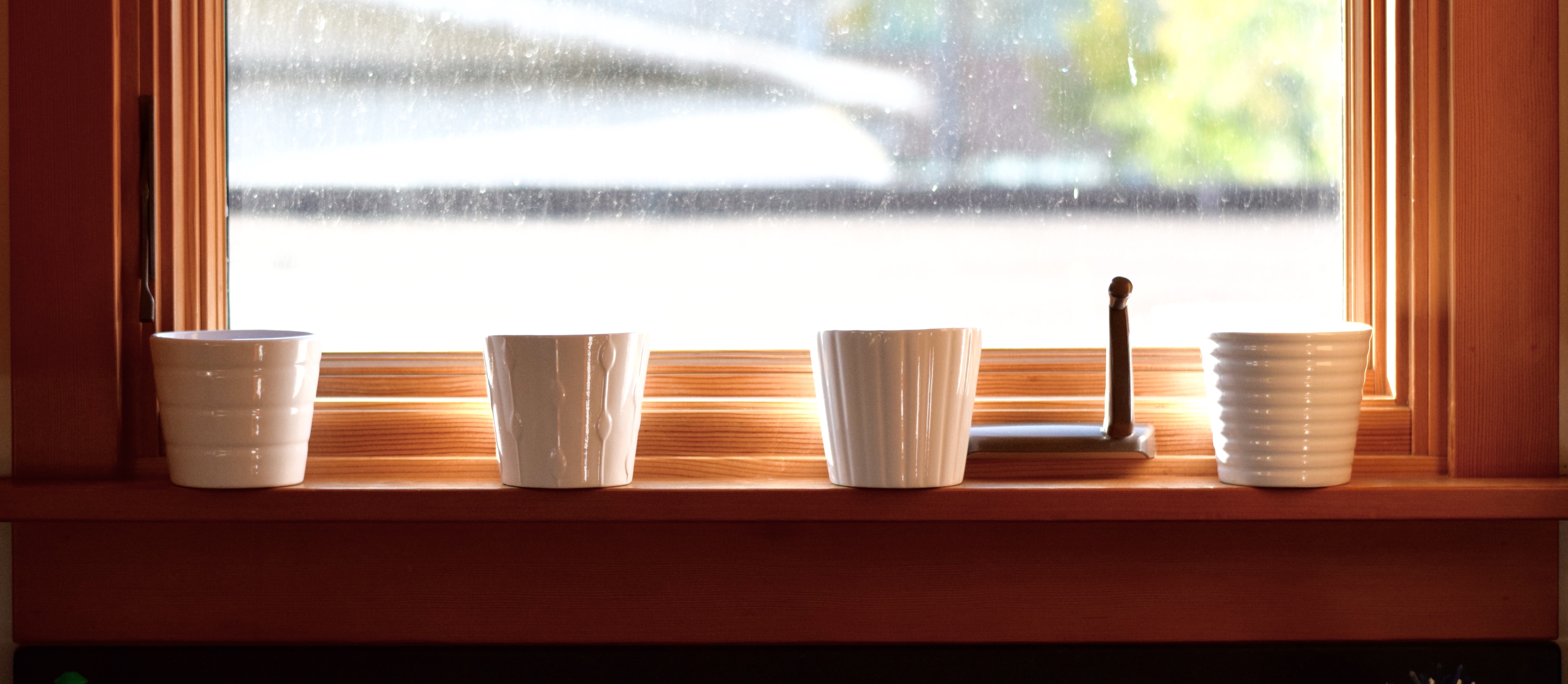 Kitchen Window Plants | Land of Laurel