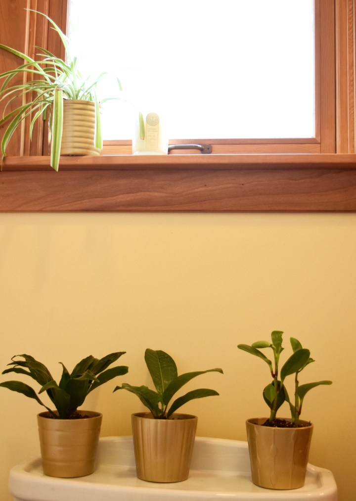 Three Pots | Land of Laurel