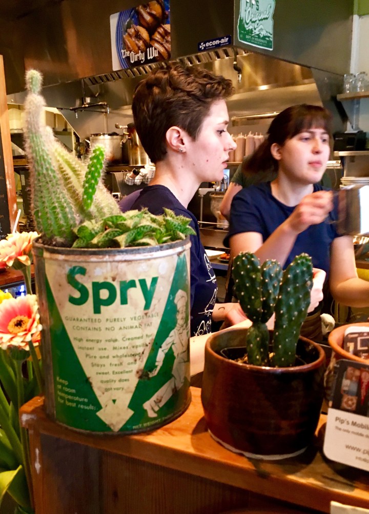 Succulent Cans | Land of Laurel