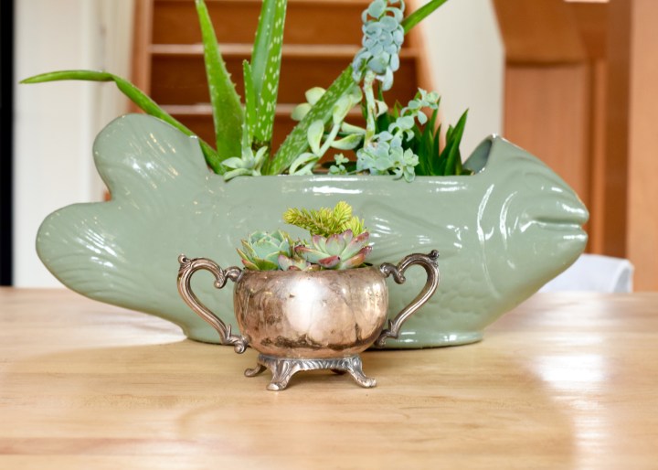 Sterling Silver Sugar Bowl Succulent Planter | Land of Laurel