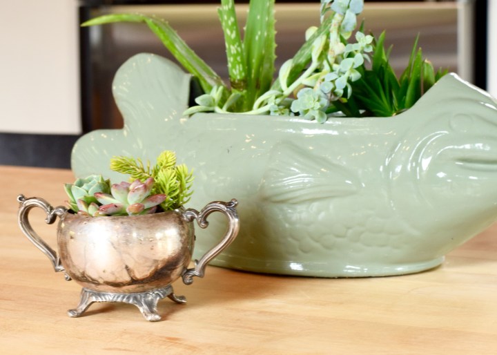 Sterling Silver Sugar Bowl Succulent Planter | Land of Laurel