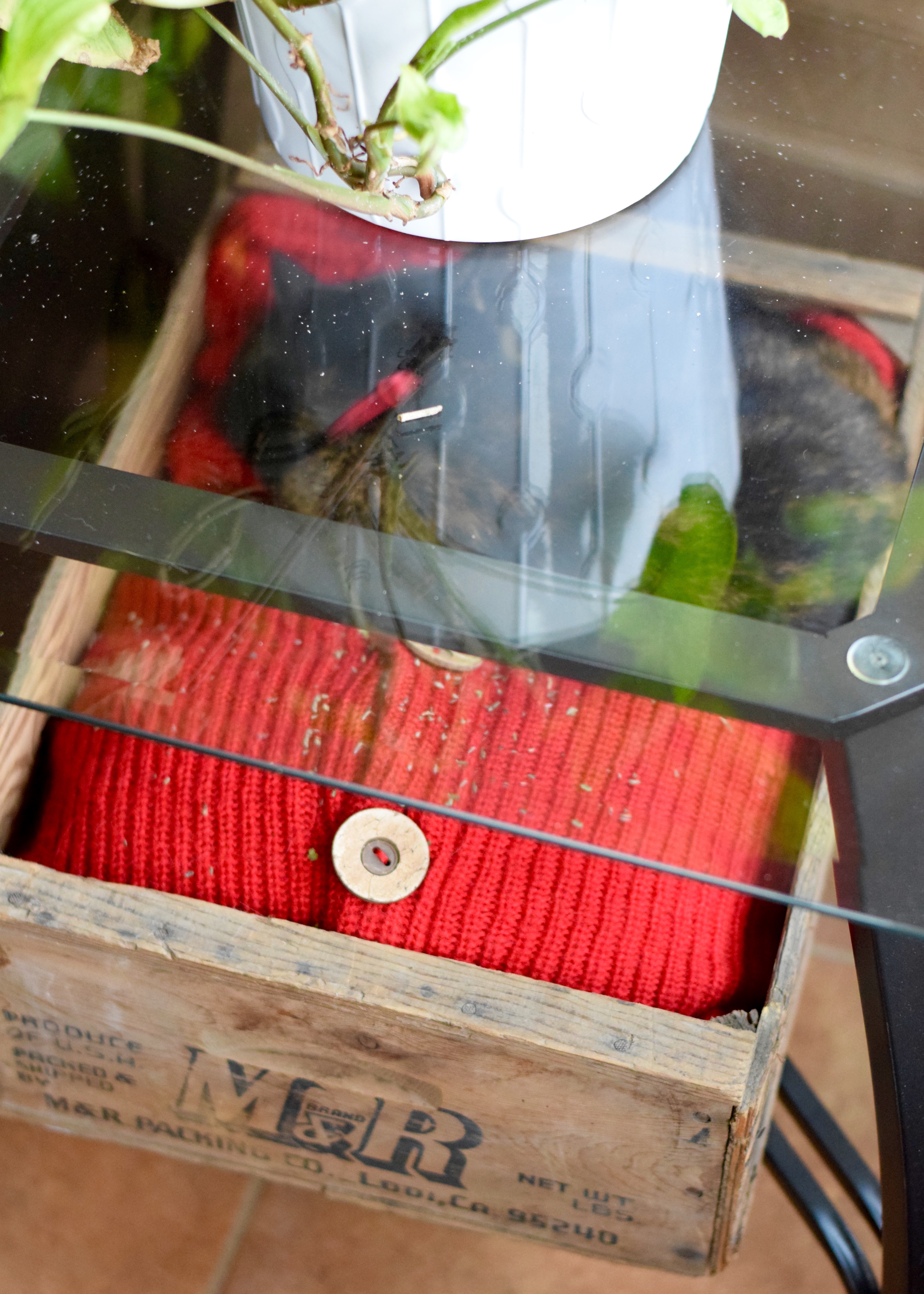 Hidden Cat Bed | Land of Laurel