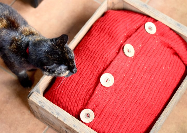 Malary's Cat Bed | Land of Laurel