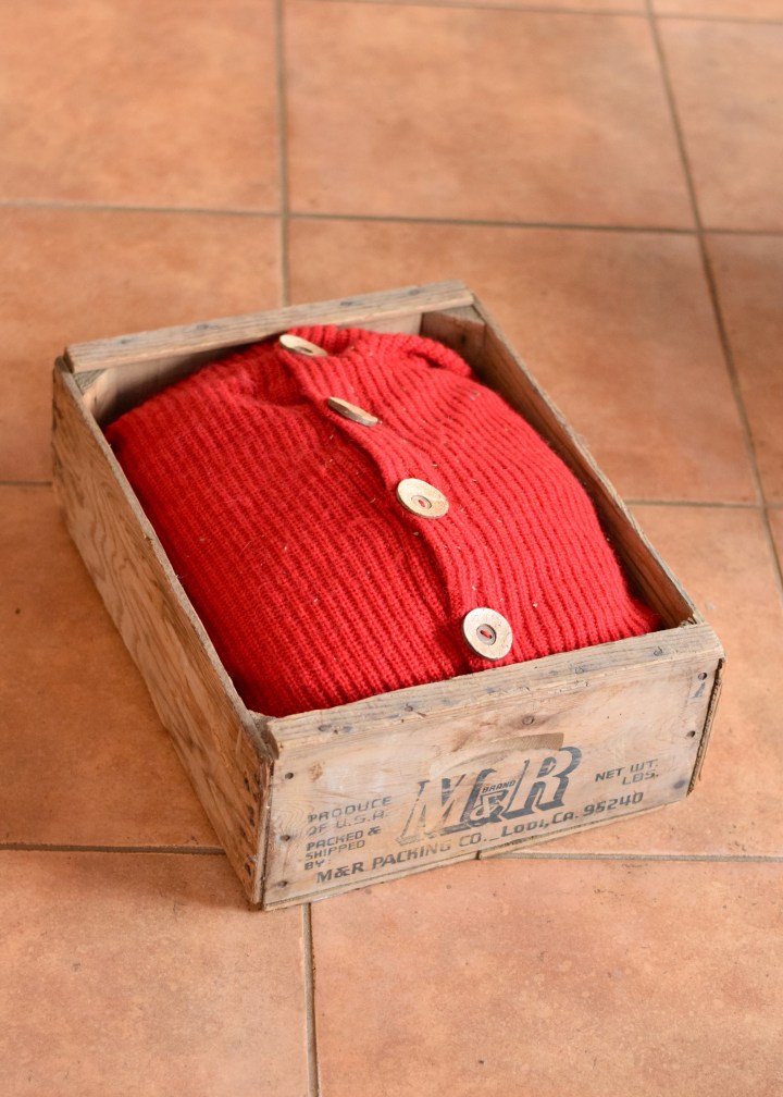 5 Minute Cat Bed | Land of Laurel