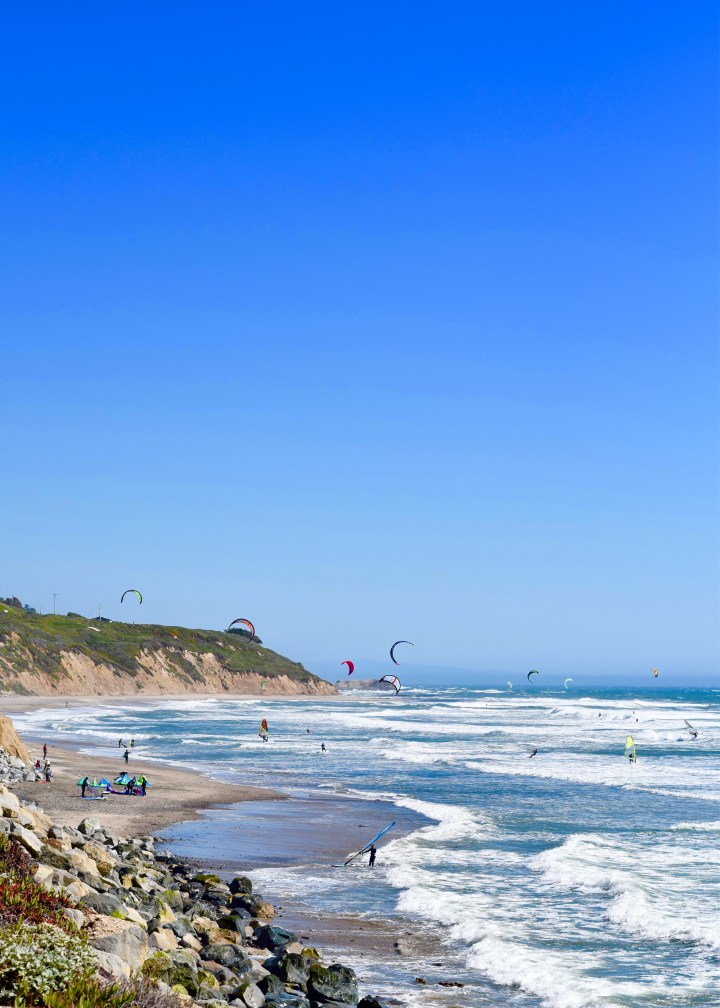 Windsurfers | Land of Laurel