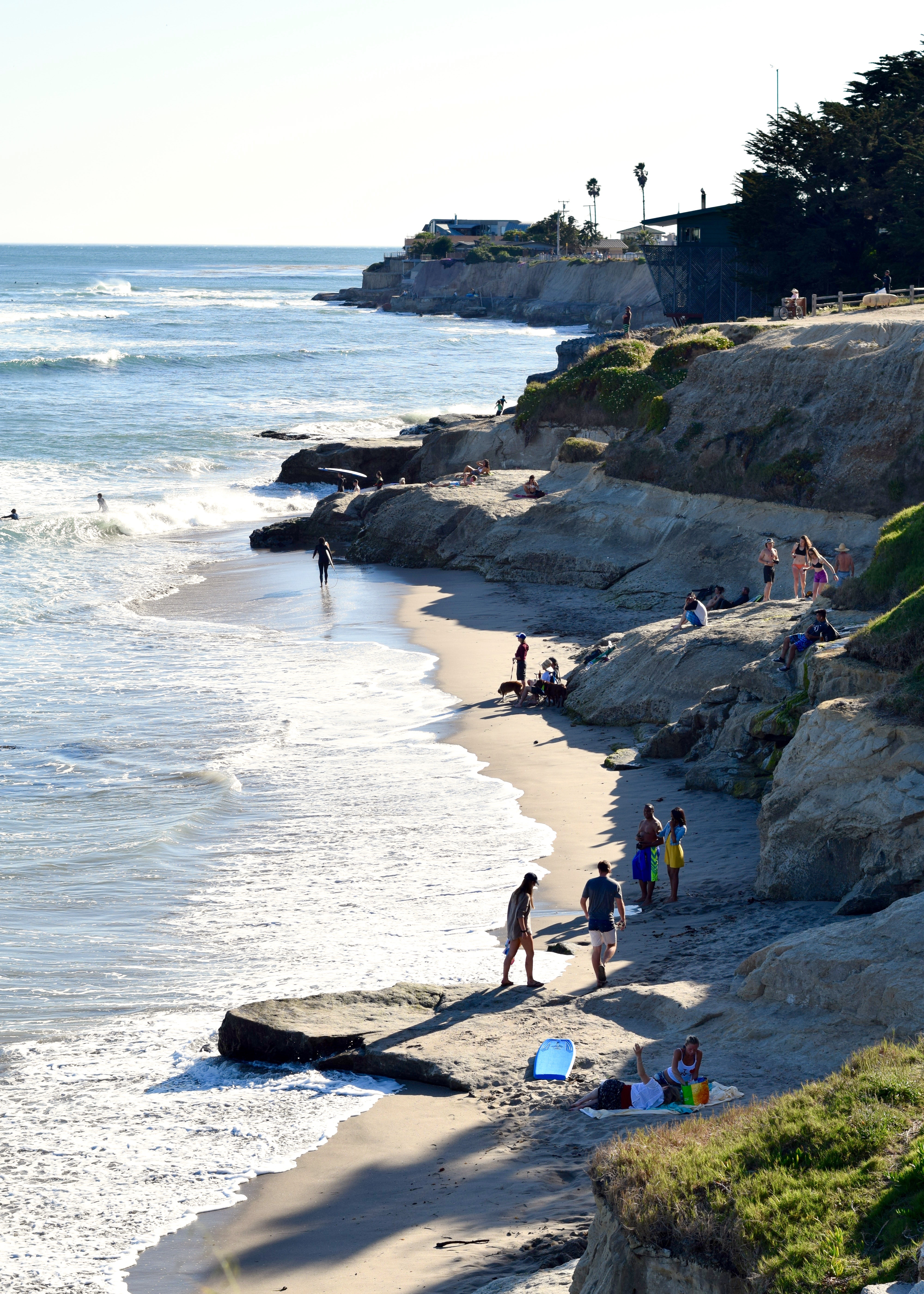 Santa Cruz East Cliff | Land of Laurel