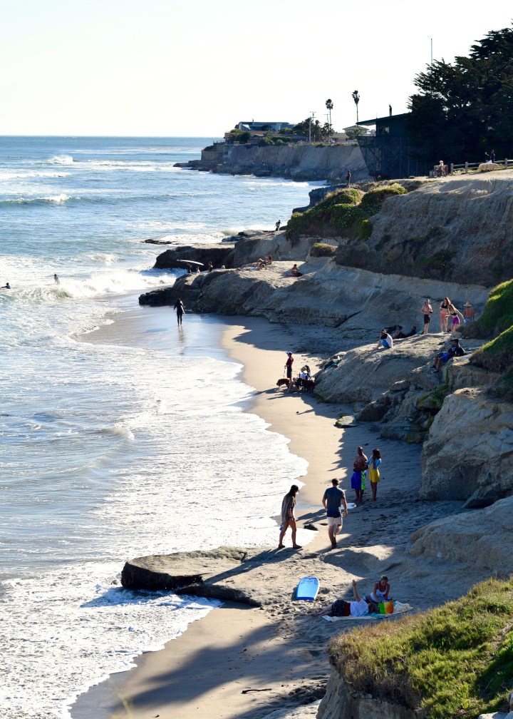 Santa Cruz East Cliff | Land of Laurel