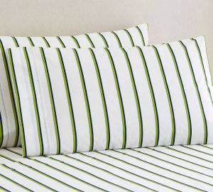 Pottery Barn Loomis Stripe Sheets | Land of Laurel