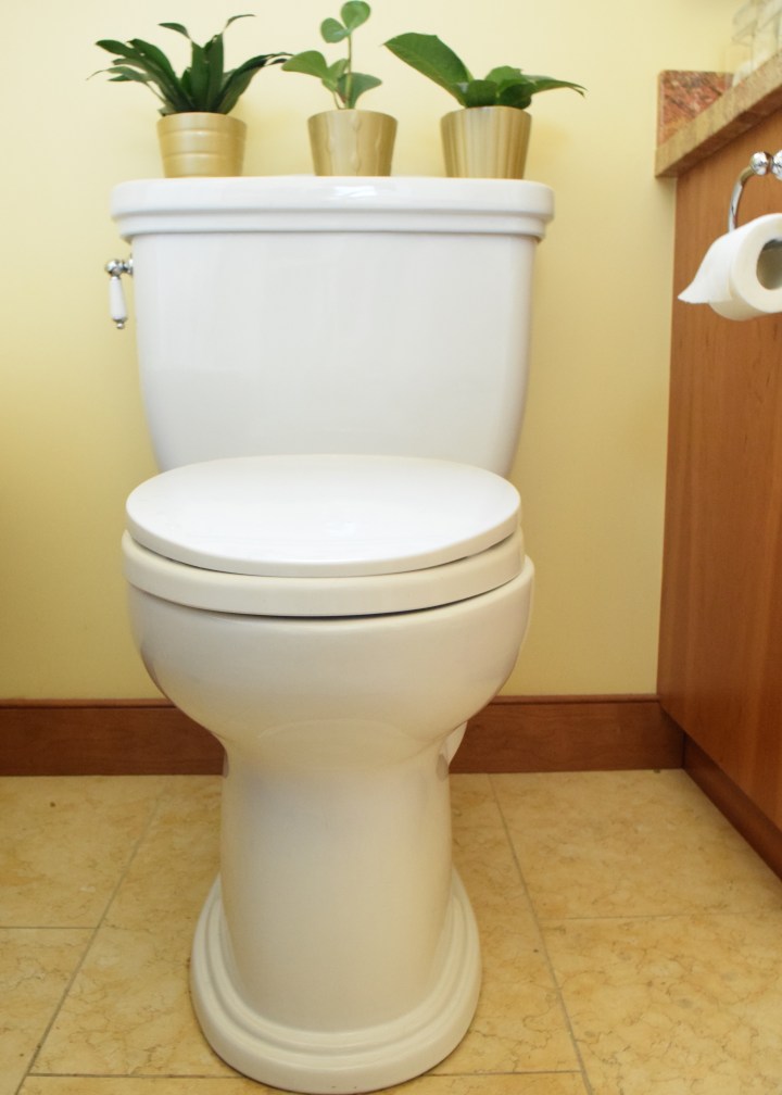 Bungalow Bathroom Toilet | Land of Laurel