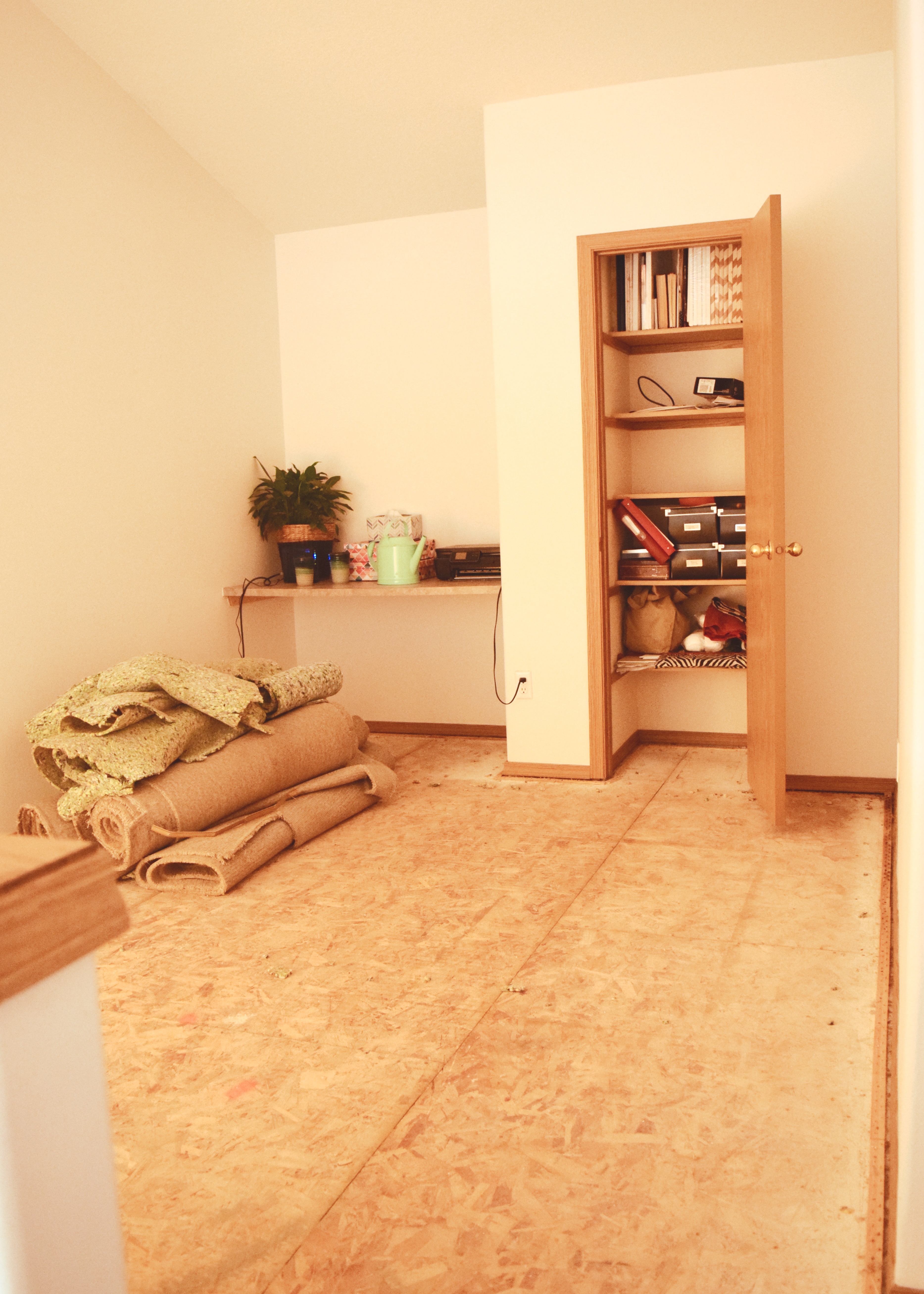 Carpet Gone! | Land of Laurel