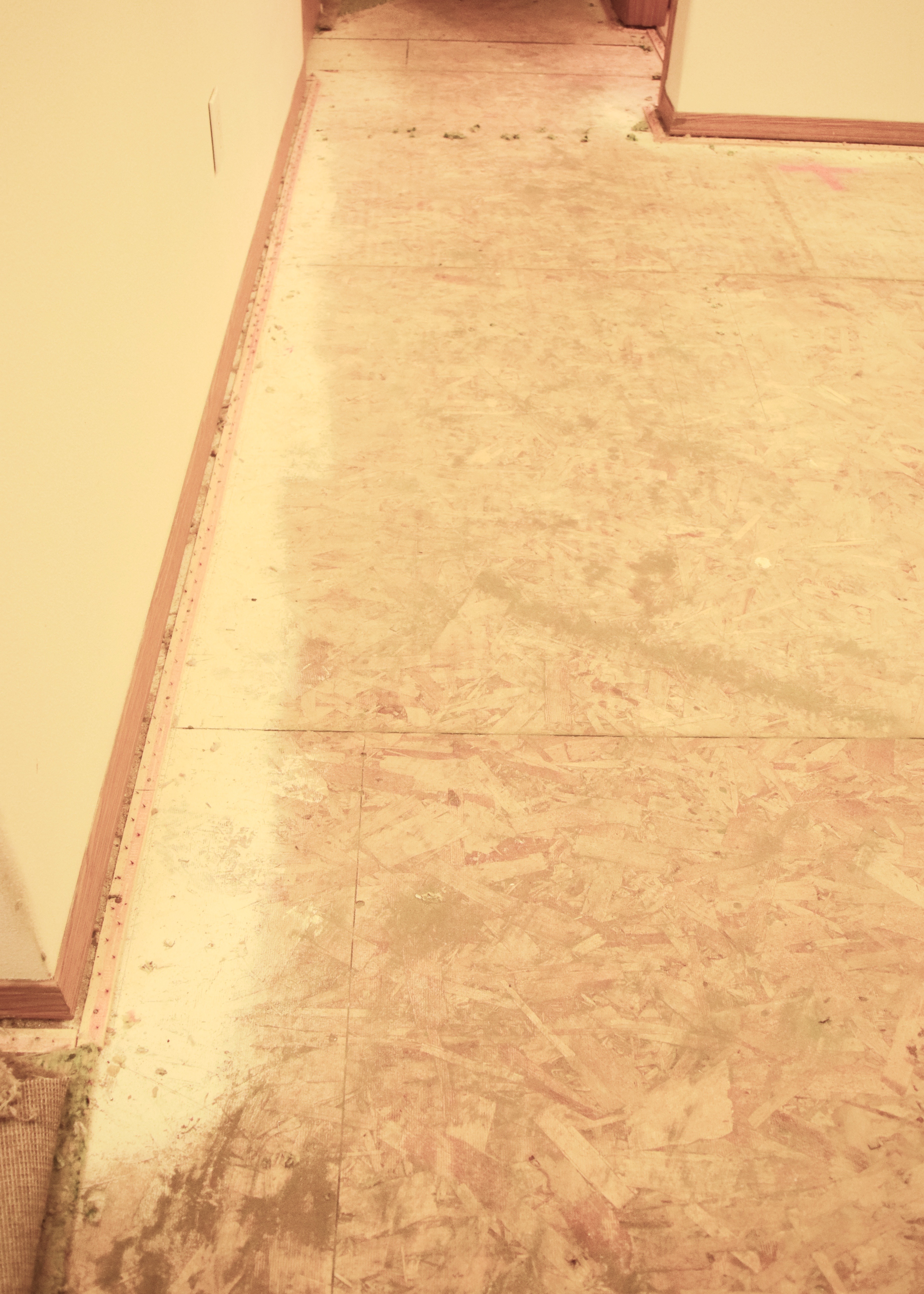 Dust Under Carpet | Land of Laurel