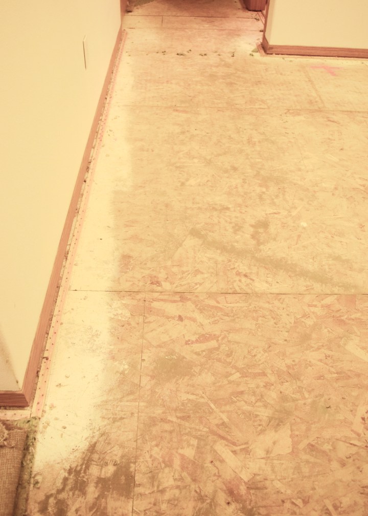 Dust Under Carpet | Land of Laurel