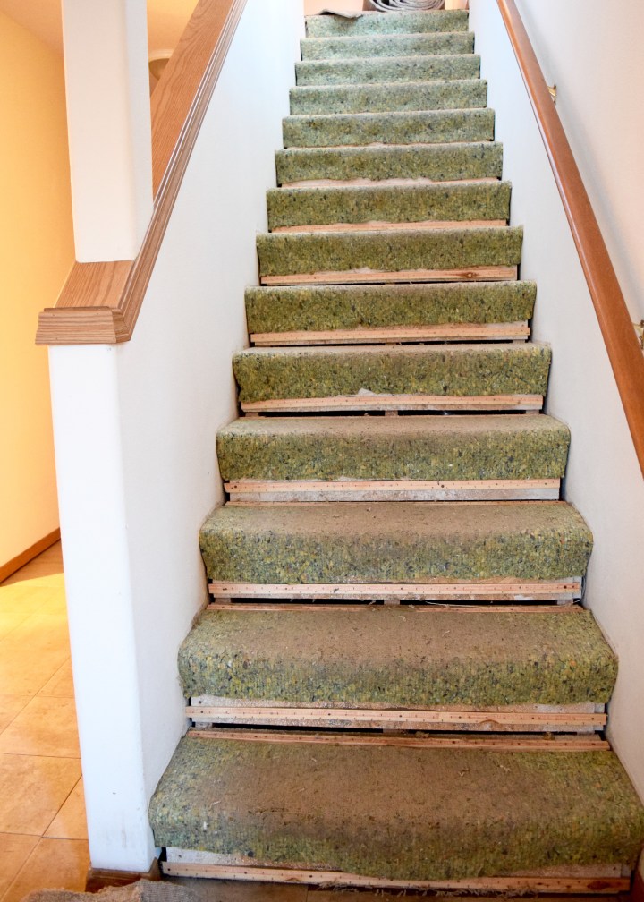 Stairs Carpet Pad | Land of Laurel