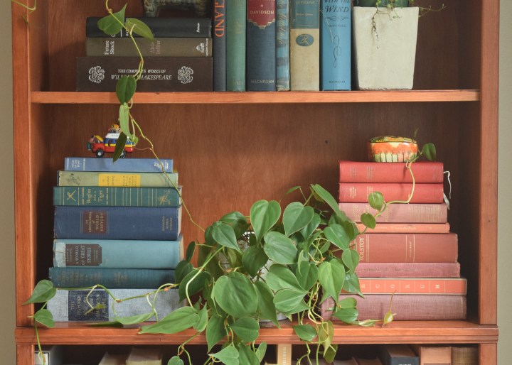 The Downstairs Bookshelf
