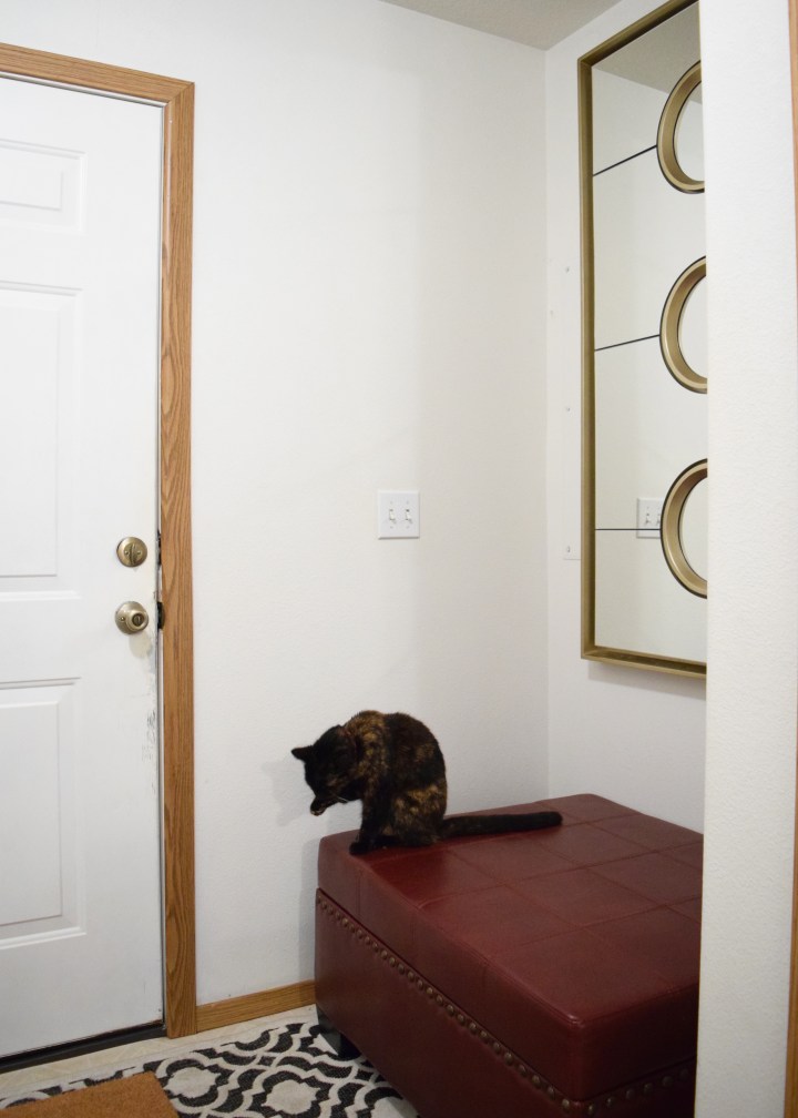 Entry Progress | Land of Laurel