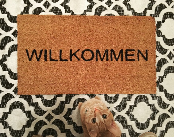 Kitten Door Mat | Land of Laurel