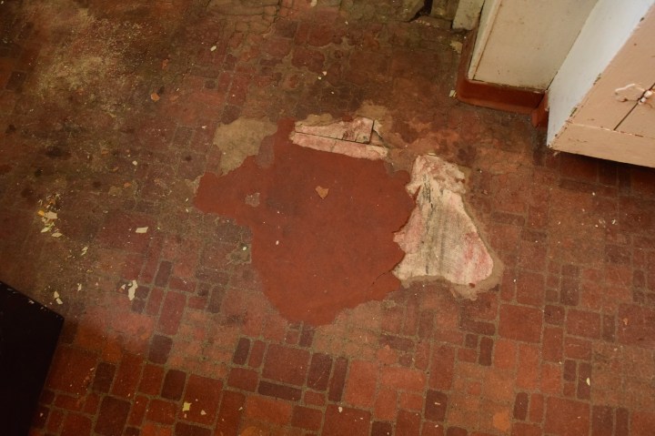 Berrybrier | Decaying Vinyl Floors.jpg