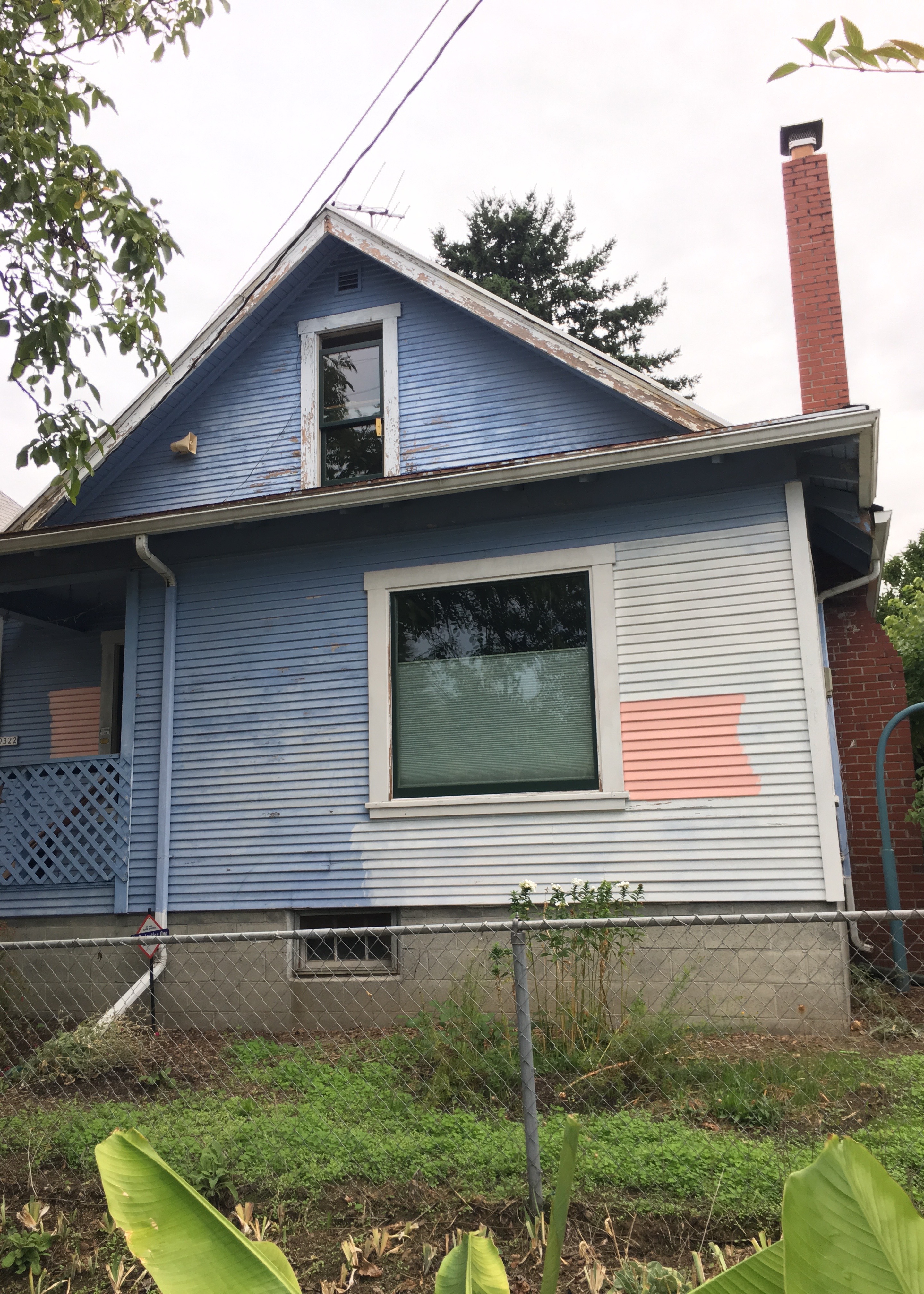 Jovial | Land of Laurel