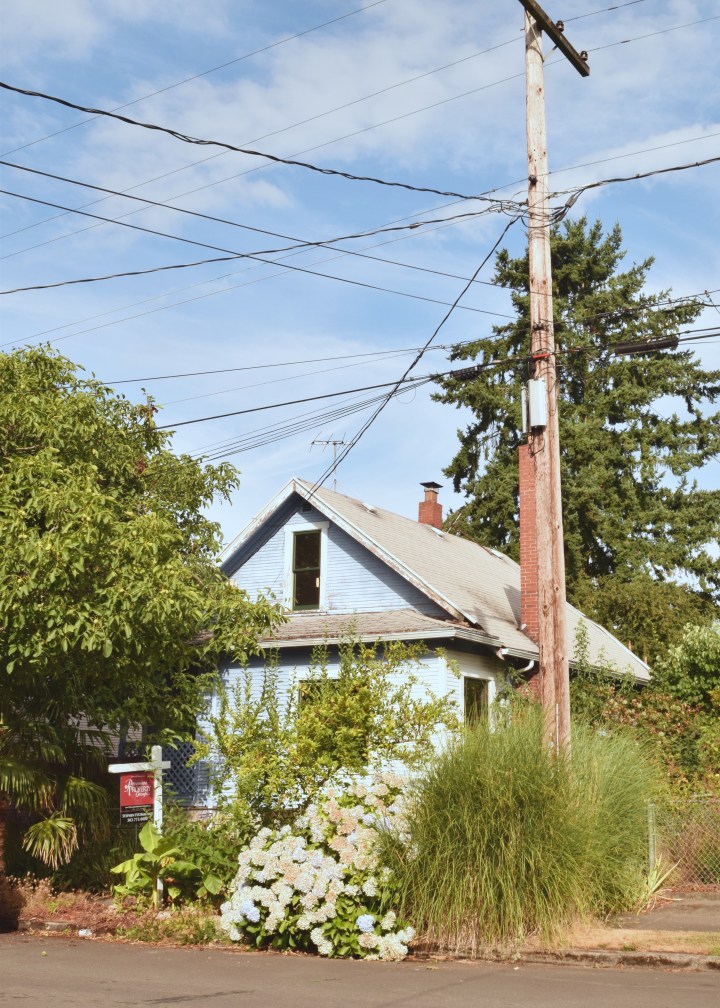 Berrybrier | Electrical Pole