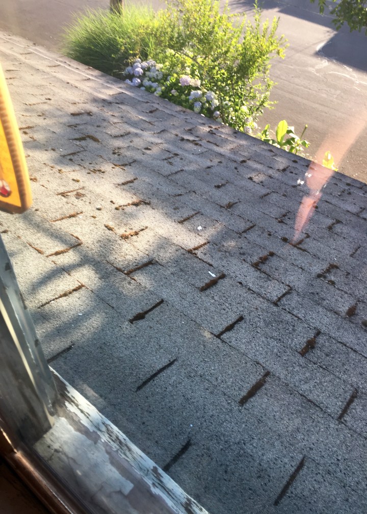 Berrybrier | Roof Shot