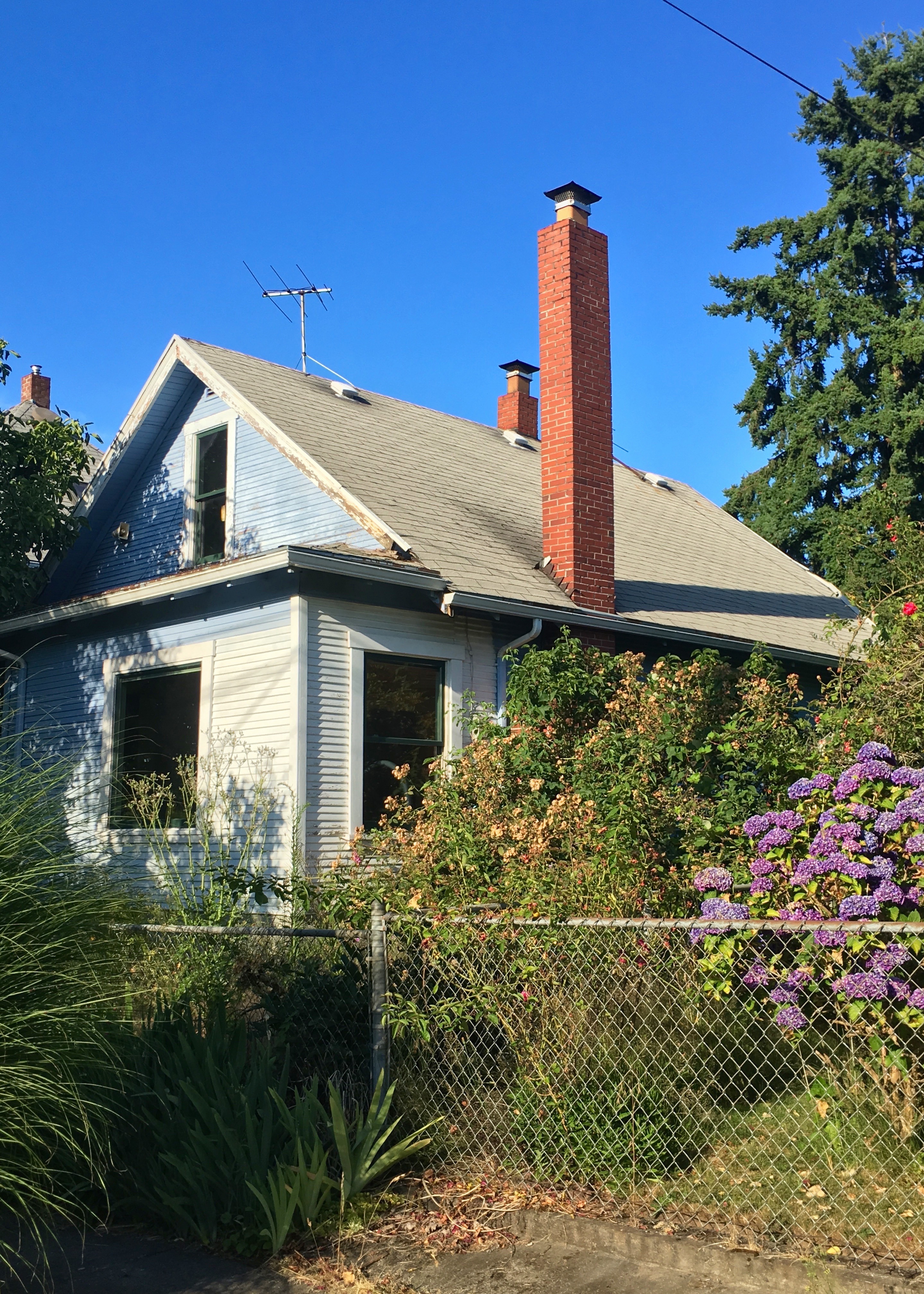 Berrybrier | Roof.jpg