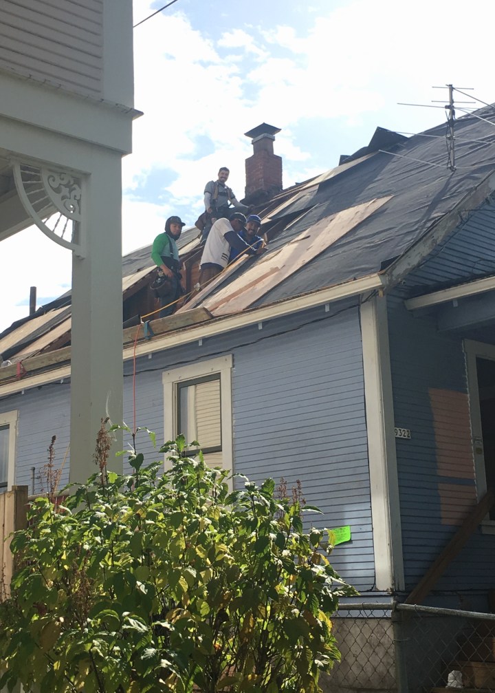 Berrybrier | Whole in the Roof