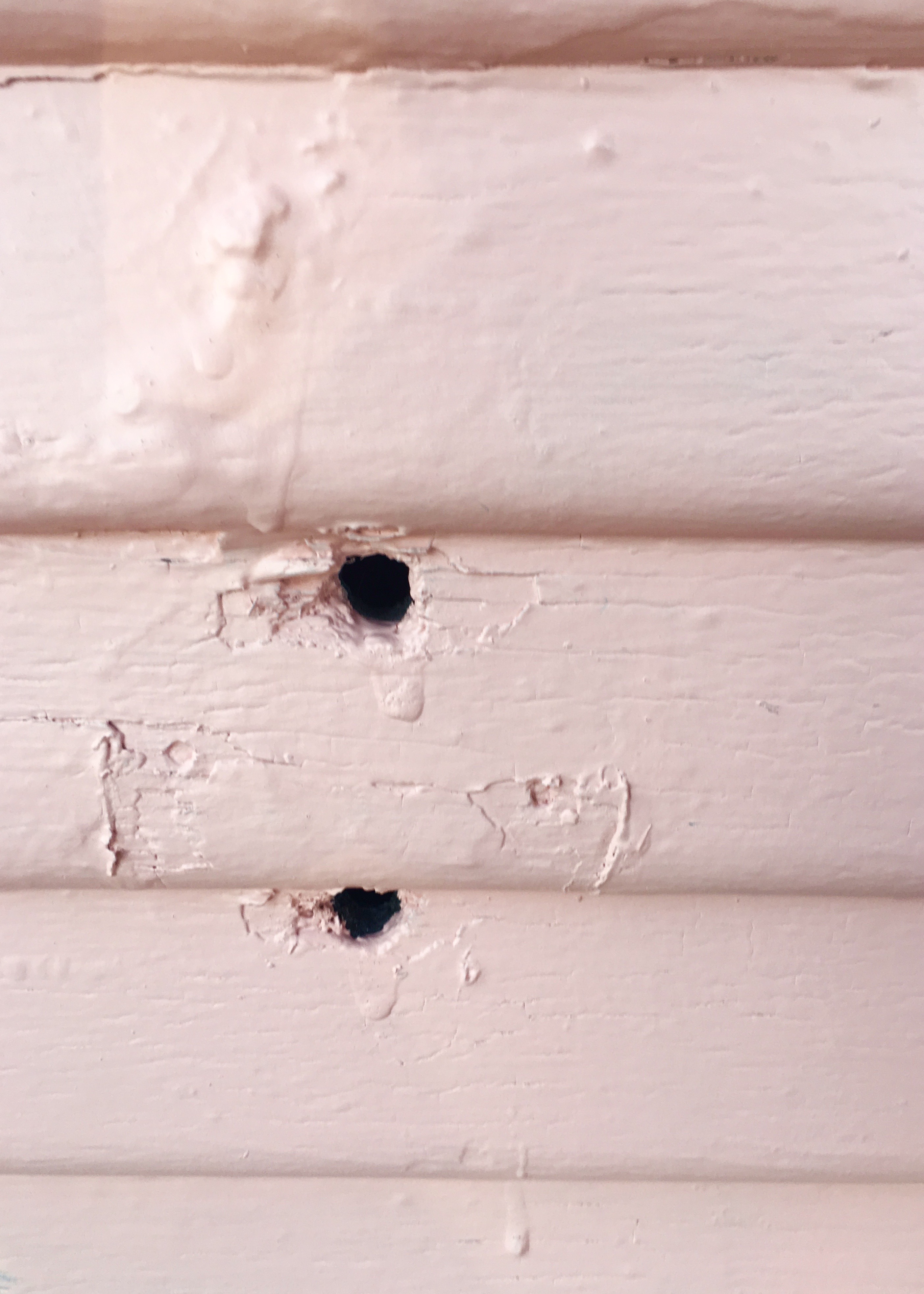 Berrybrier | Big Holes.jpg