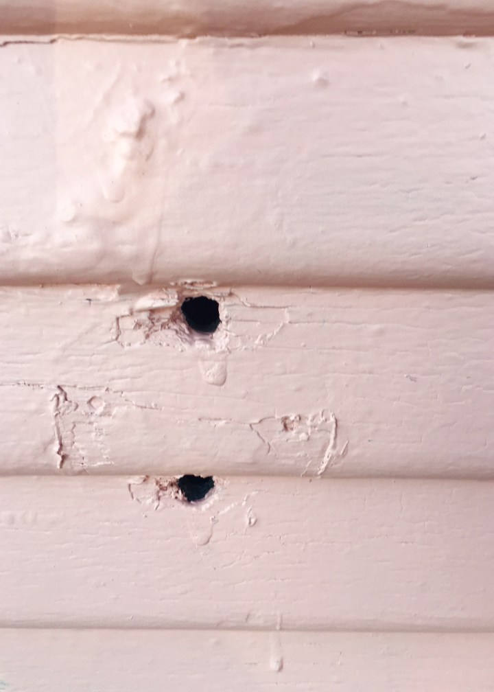 Berrybrier | Big Holes.jpg