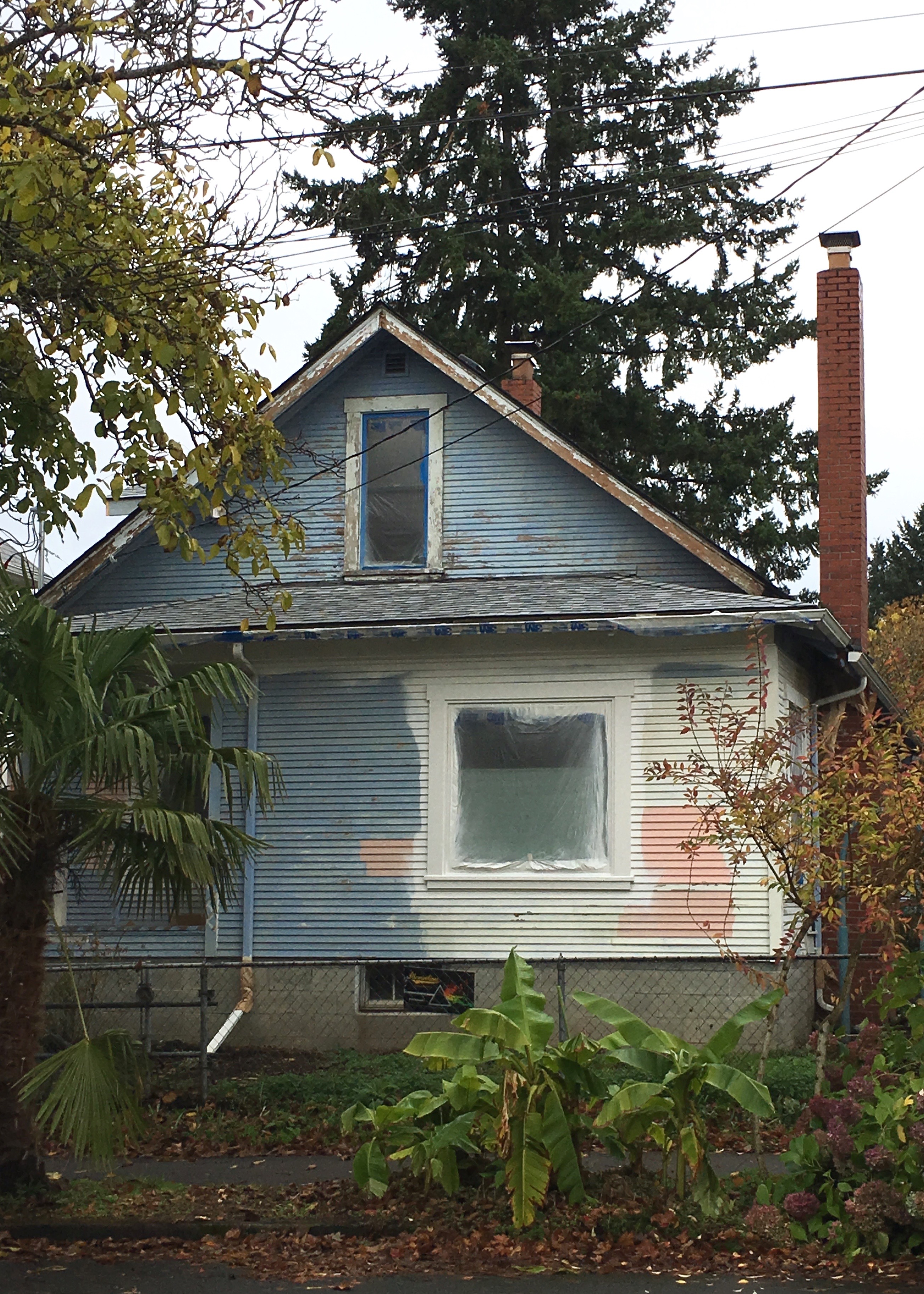 Berrybrier | Fall House 2017