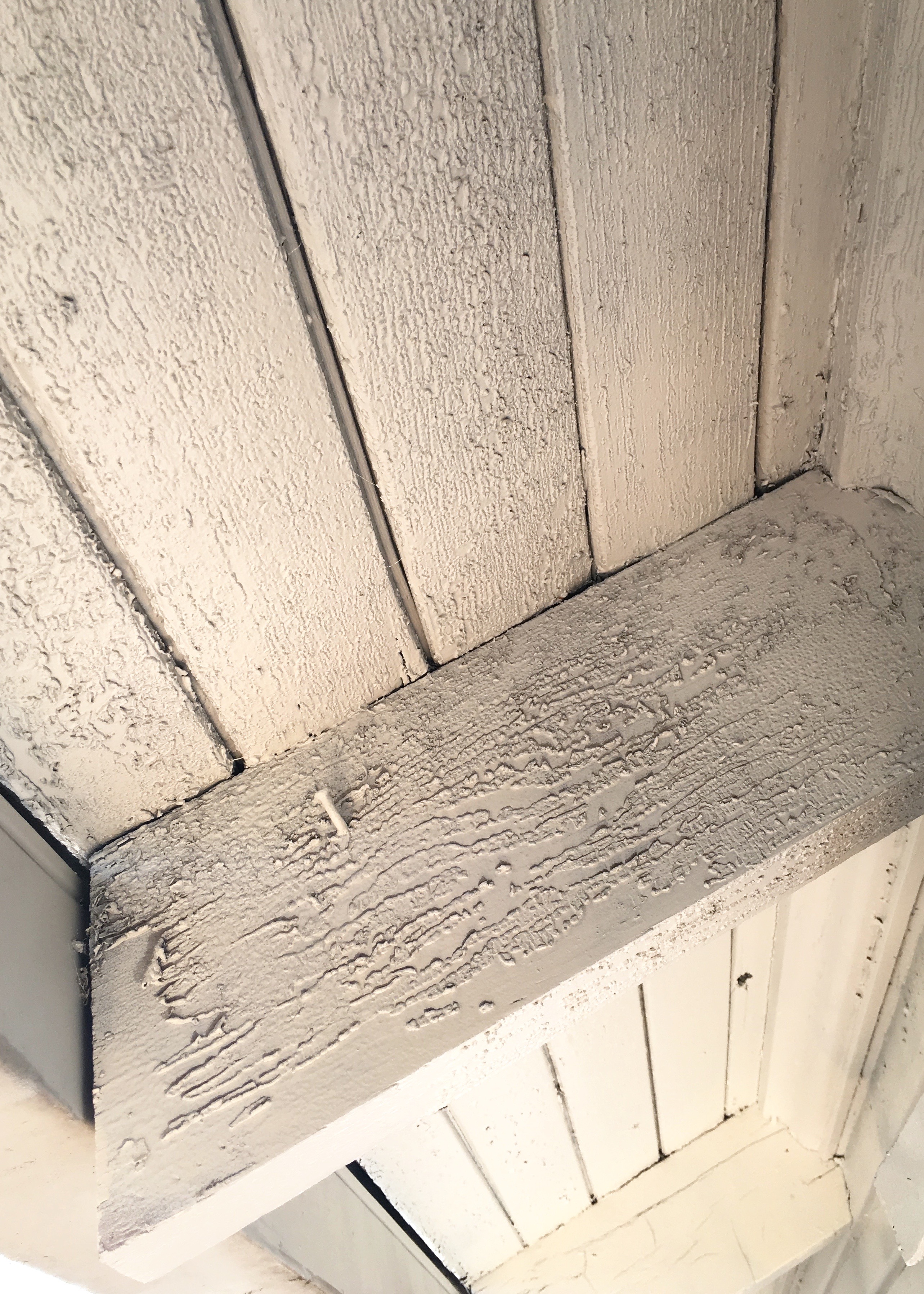 Berrybrier | Flaking Eaves.jpg