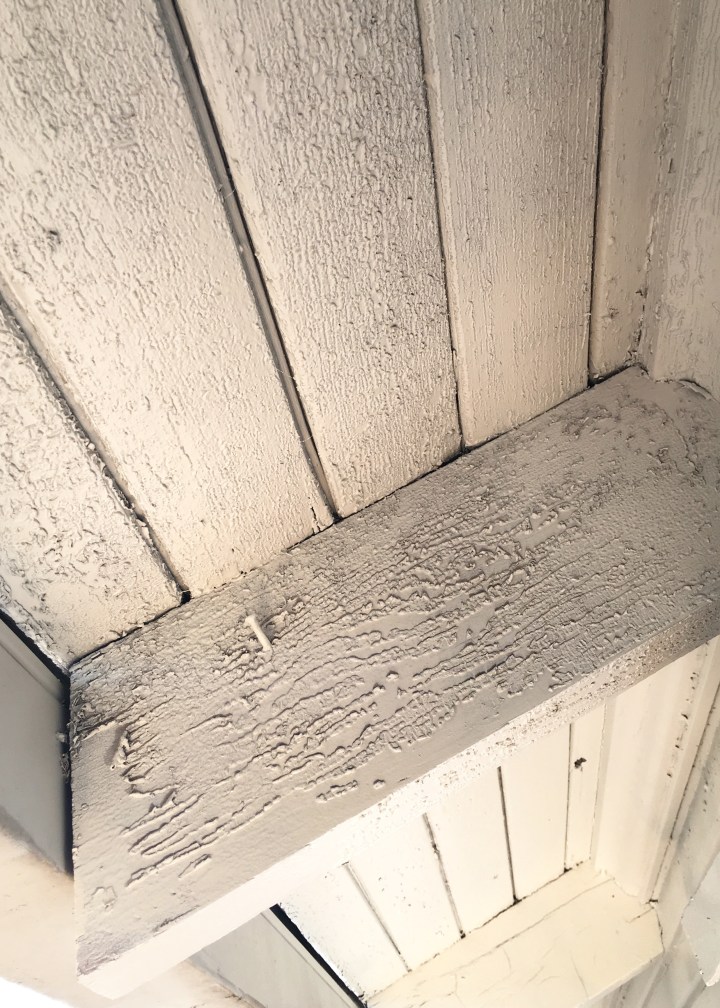 Berrybrier | Flaking Eaves.jpg