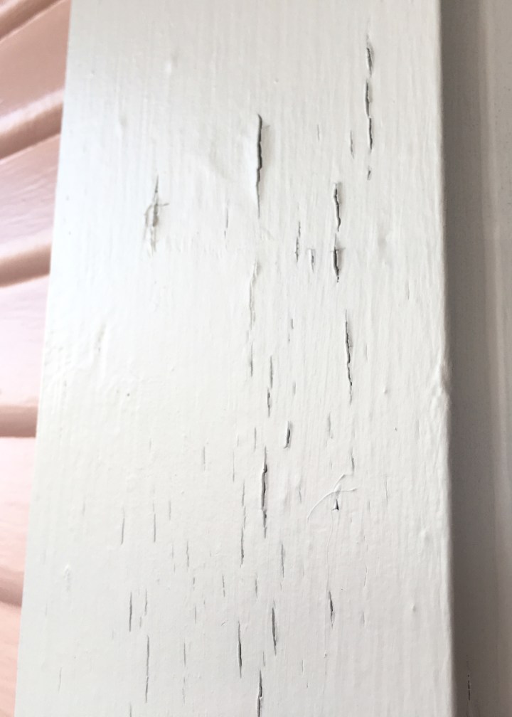 Berrybrier | Flaking Paint.jpg