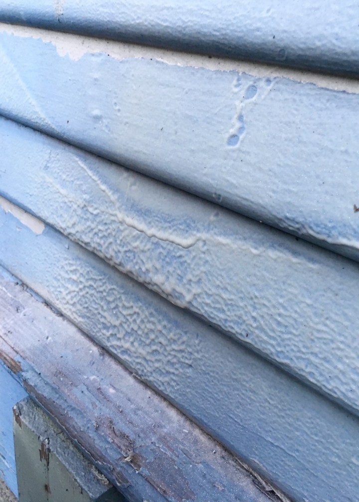 Berrybrier | Oversaturated Spray.jpg