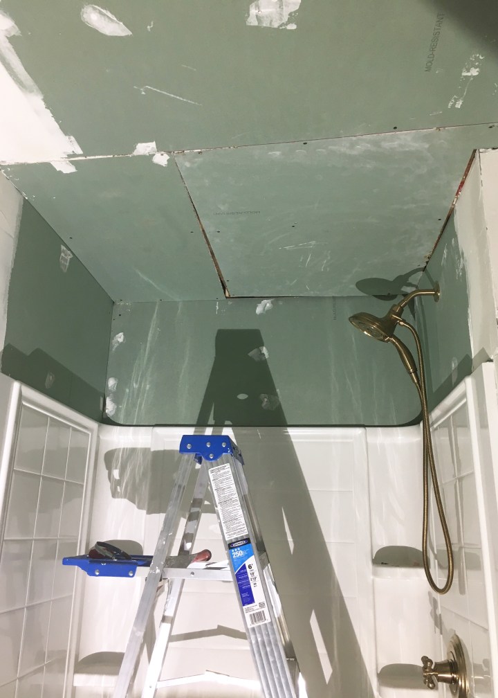 Berrybrier | Ceiling Mud