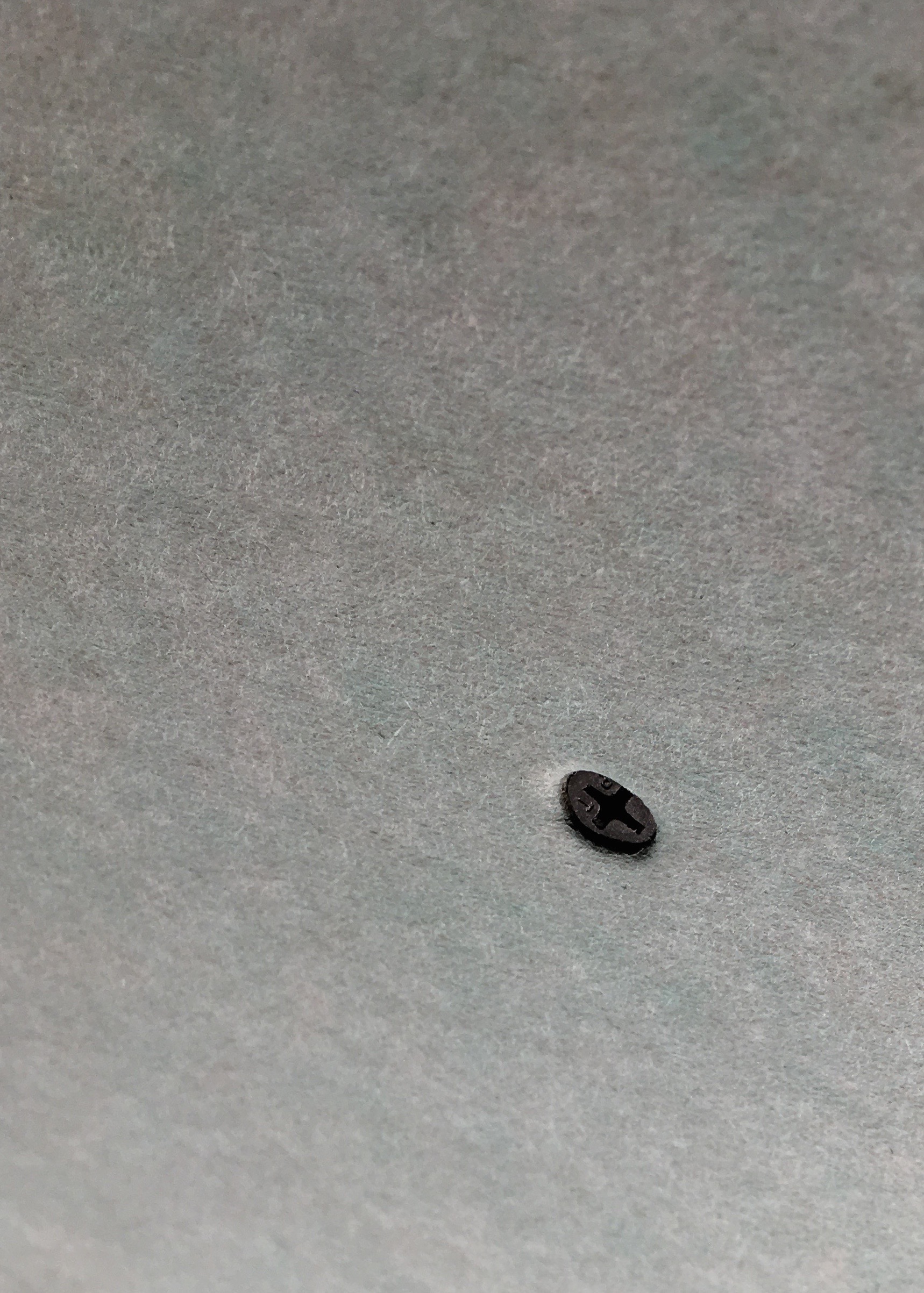 Berrybrier | Drywall Proper Screw